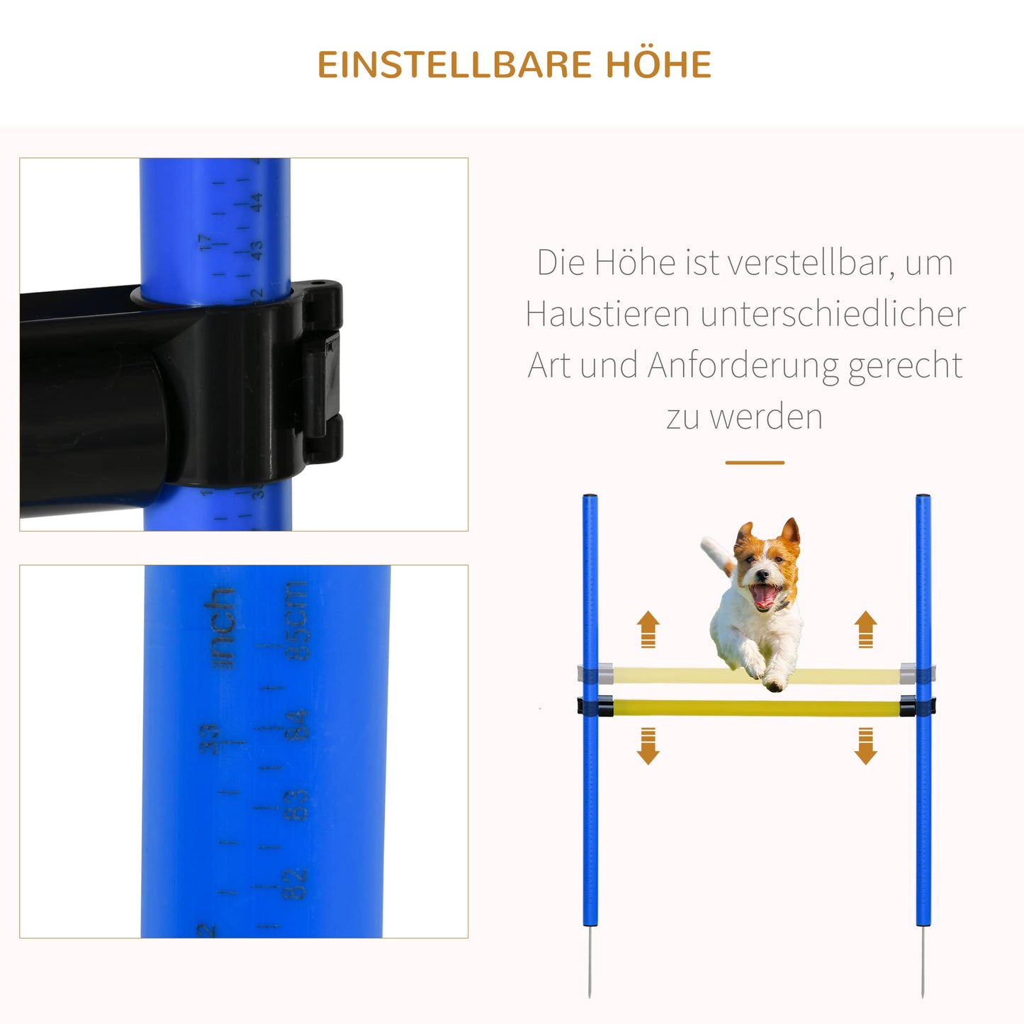 Koirien Agility Harjoitusrata