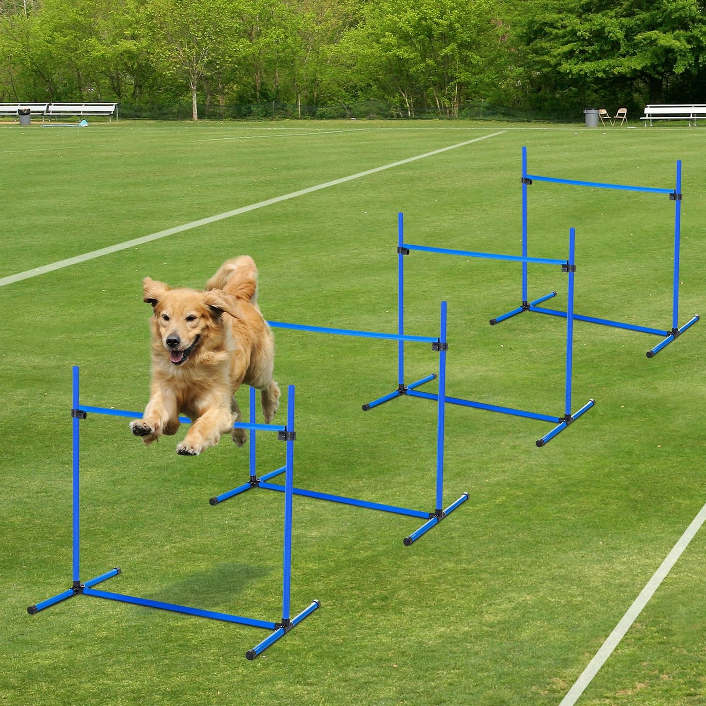 Agility esteet 4