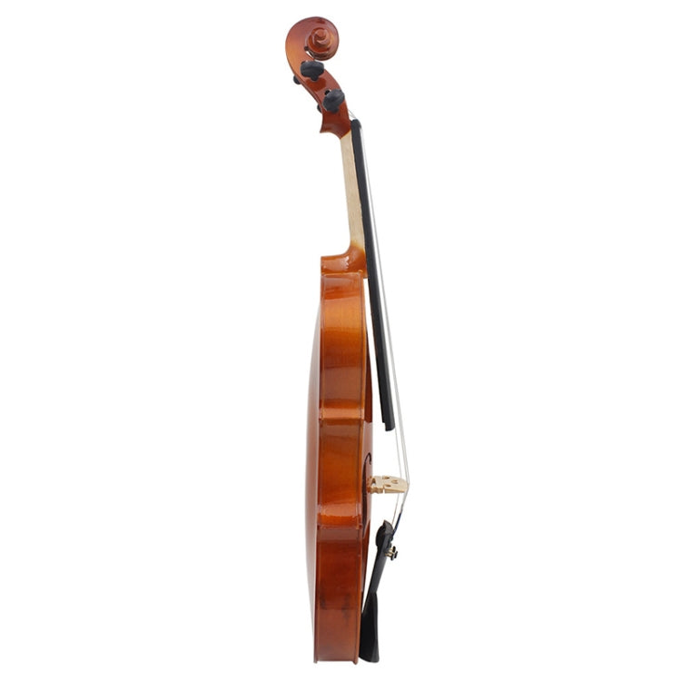 Viulu 4/4