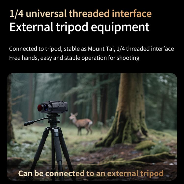 Yökiikarit WiFi 4K