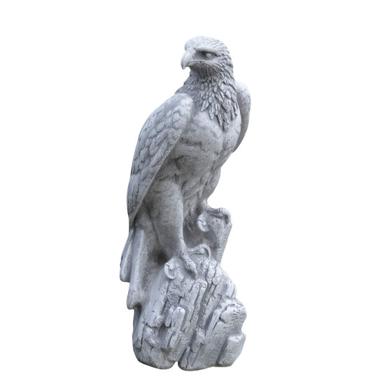 Kotka 50 cm