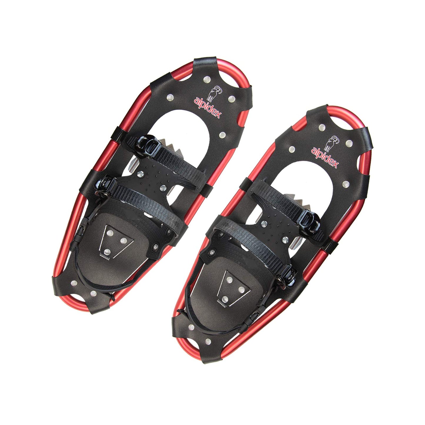 Lumikengät 21" sauvoilla 75 kg