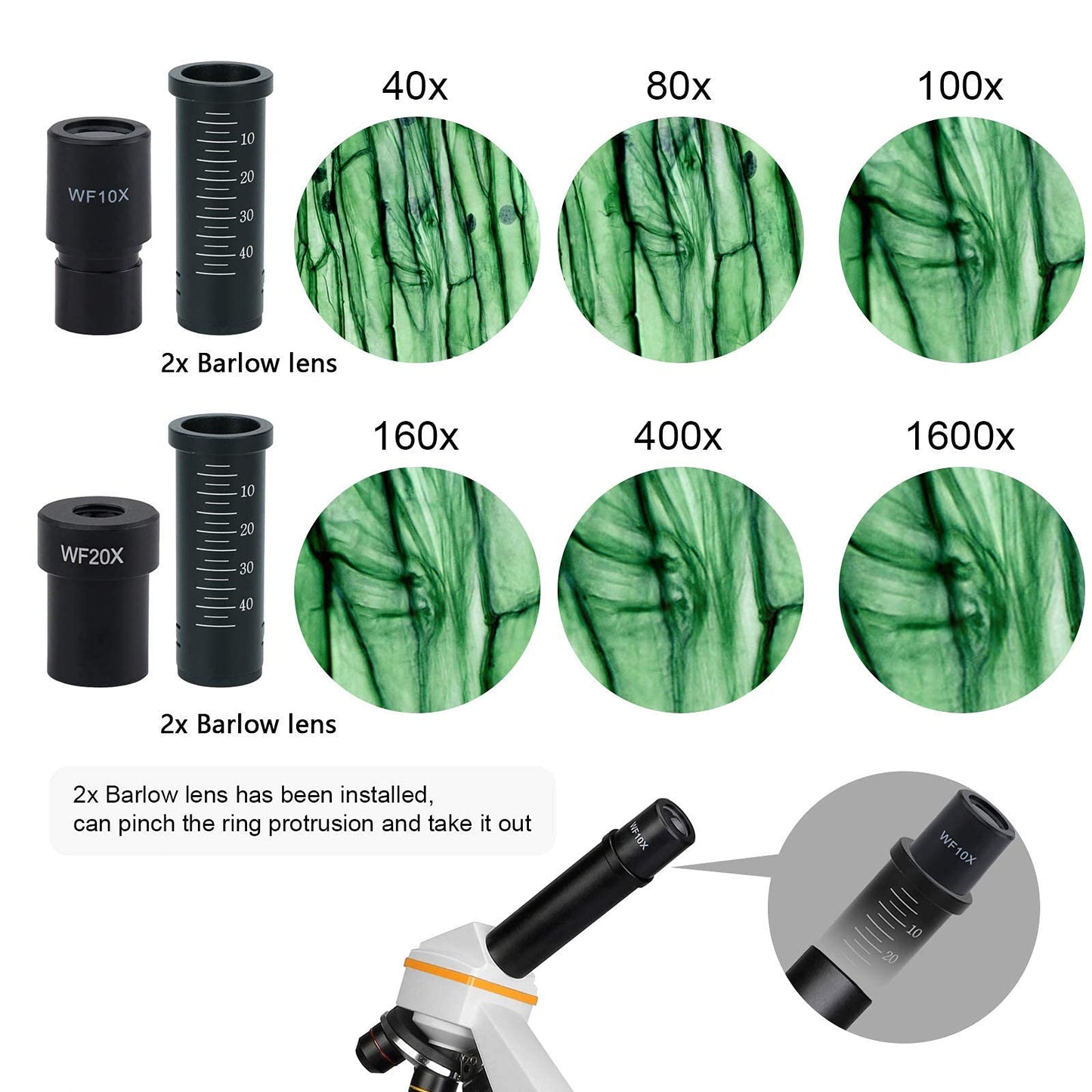 Mikroskooppi 40X-1600X
