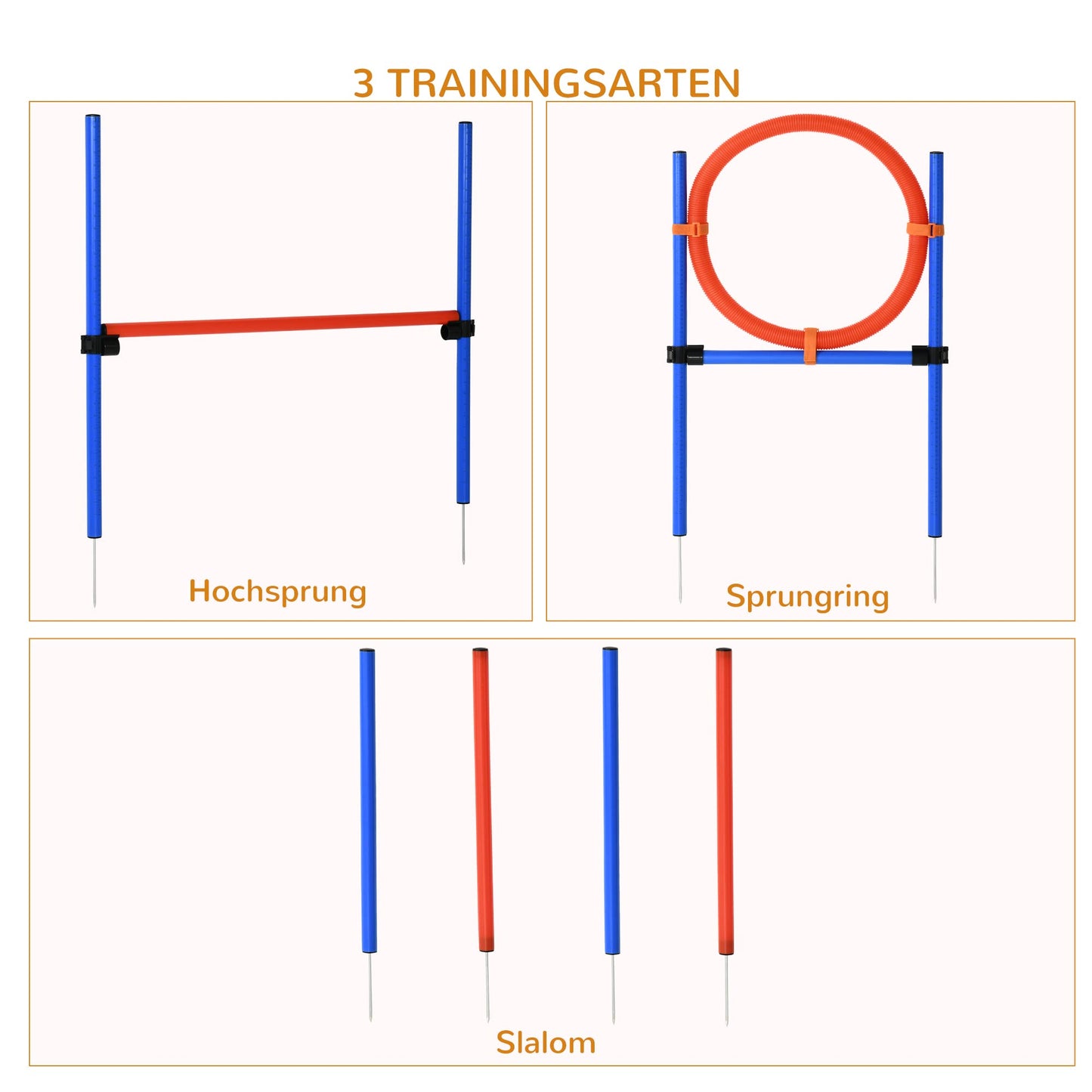 Koirien Agility Esterata