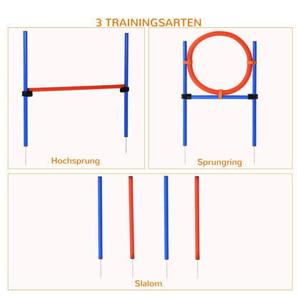 Koirien Agility Esterata