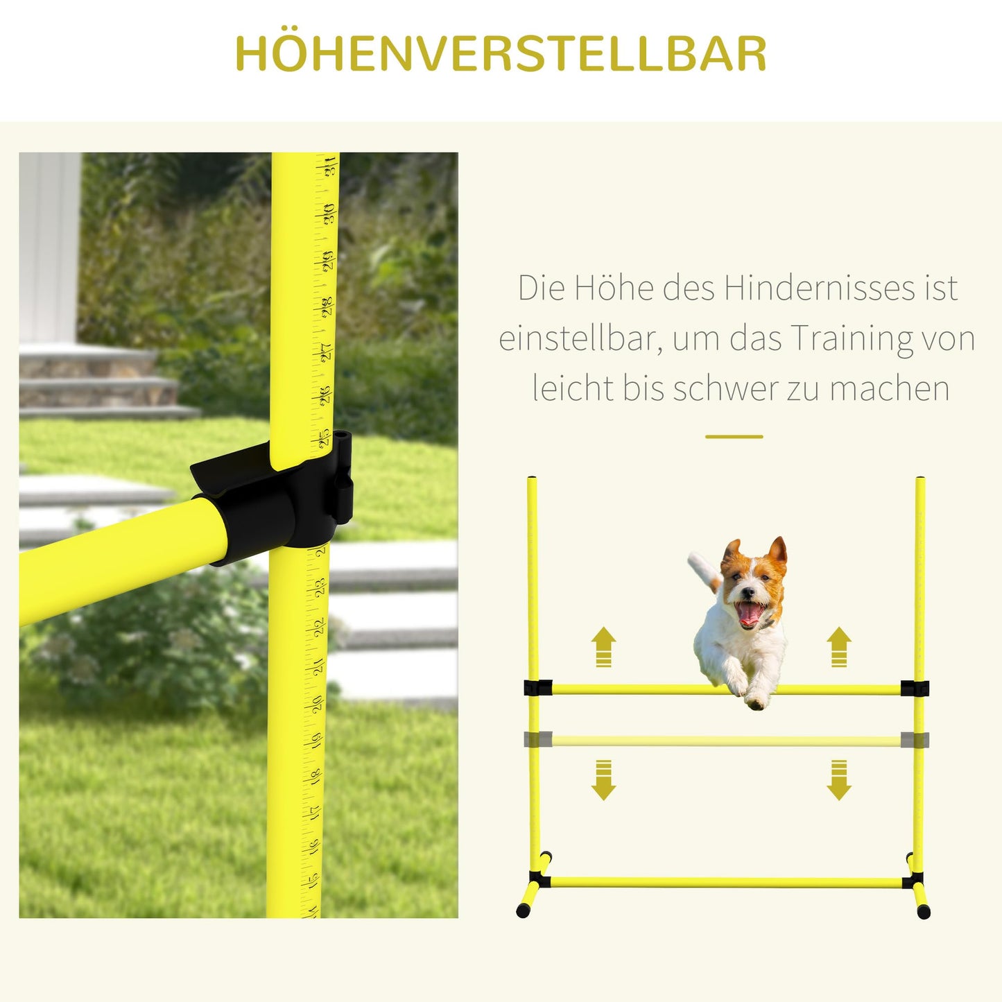 Koirien Agility Set 4 99x65x94cm