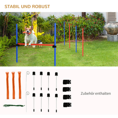 Koirien Agility Esterata