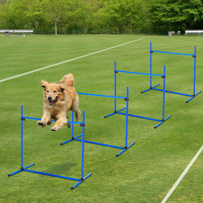 Agility esteet 4