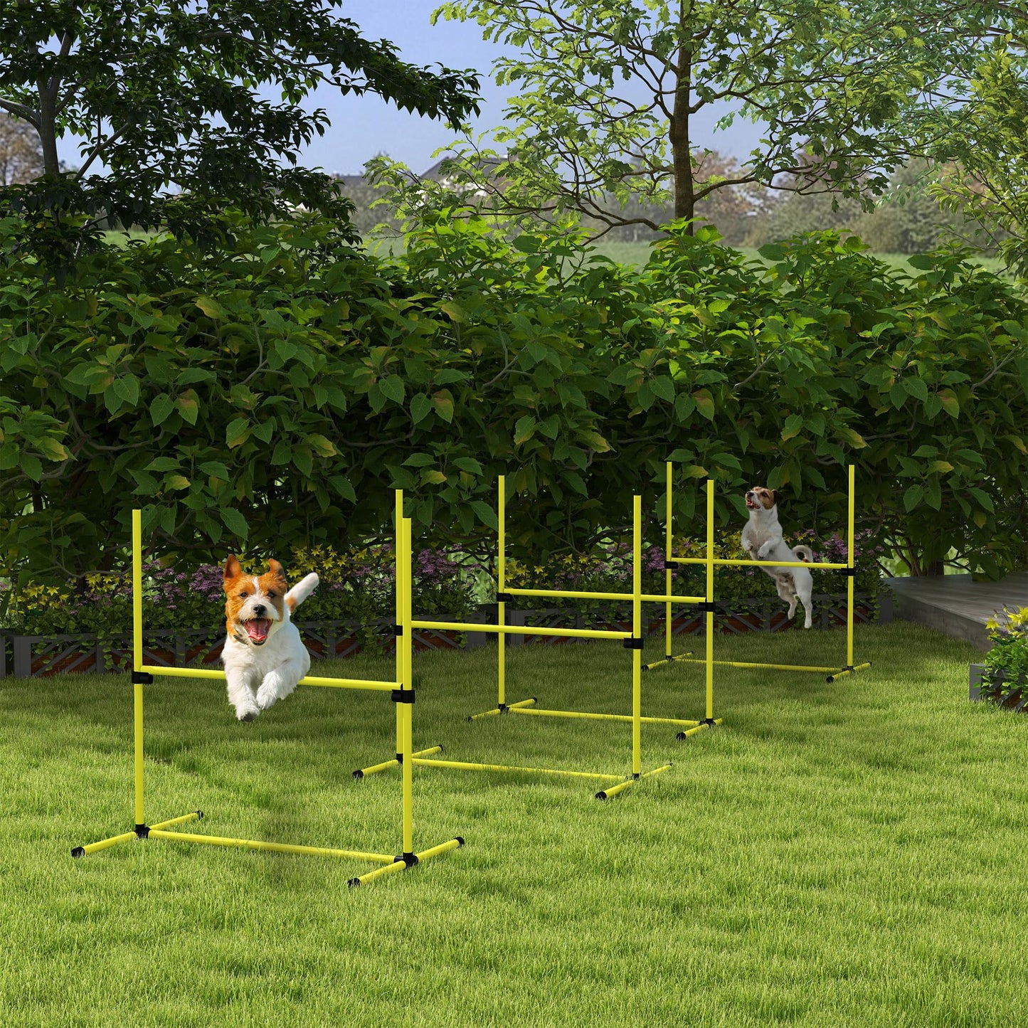 Koirien Agility Set 4 99x65x94cm