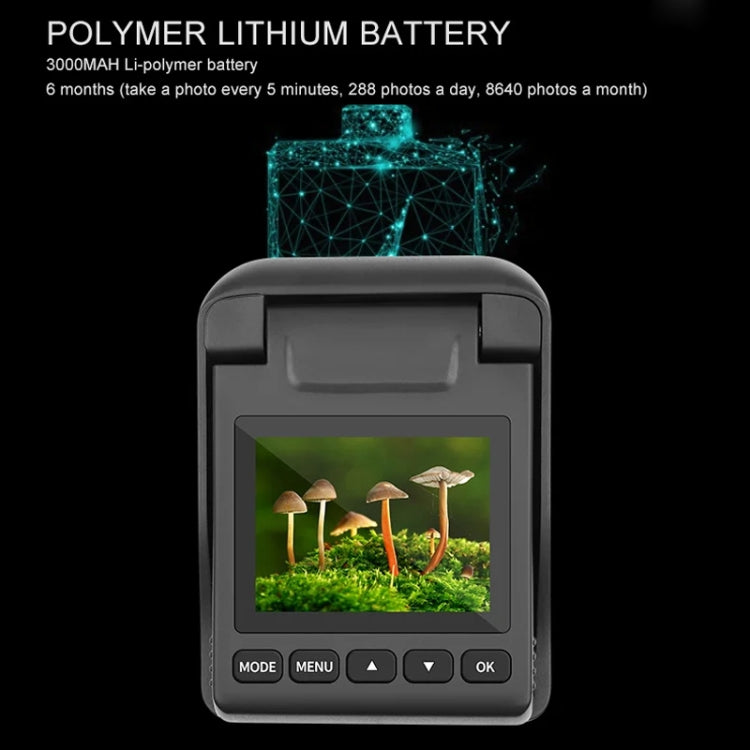 Videokamera Timelapse 4K