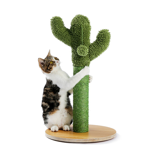 Raapimispuu "Cactus" 55 cm